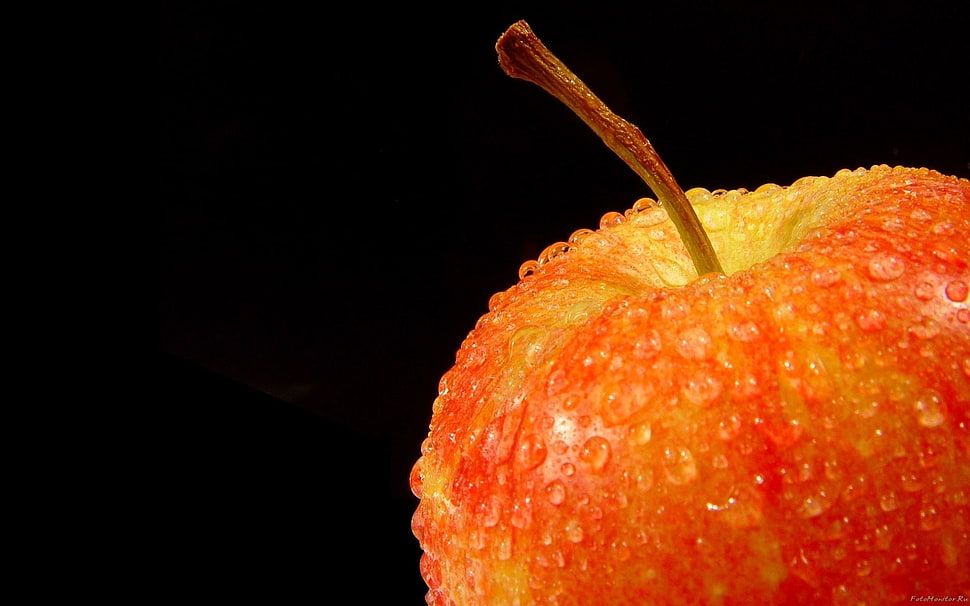 close up photo of apple fruit HD wallpaper